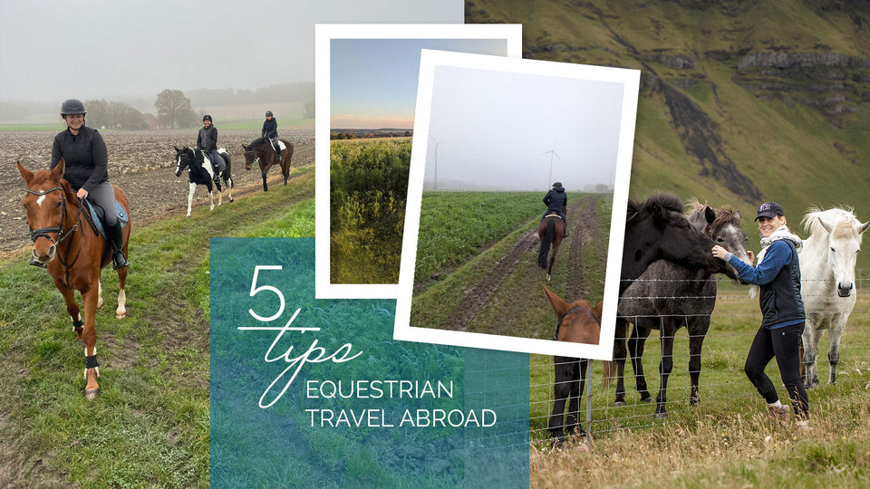 Equestrian Travel Tips