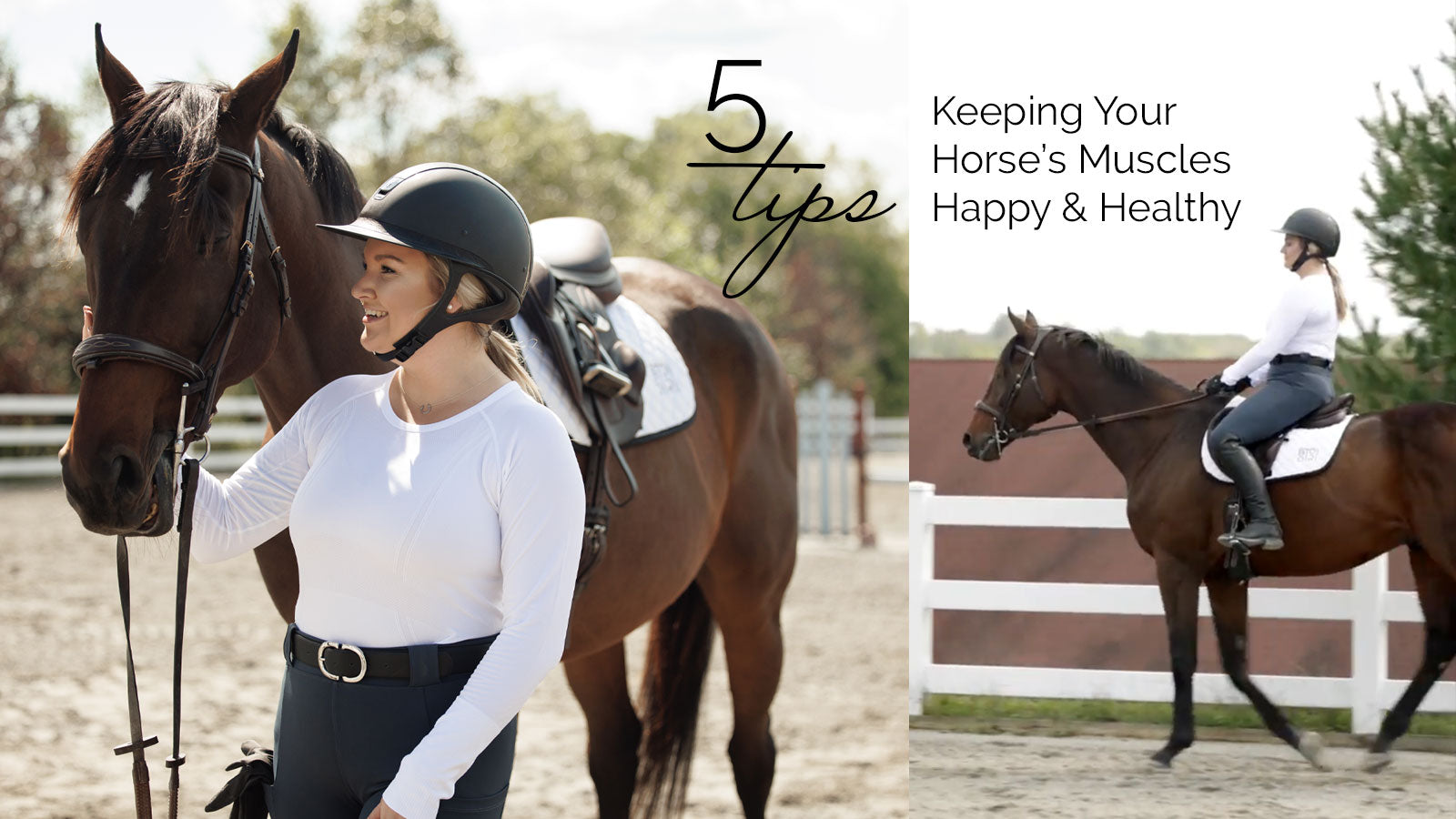 5 Tips for Keeping Your Horse’s Muscles Happy and Healthy