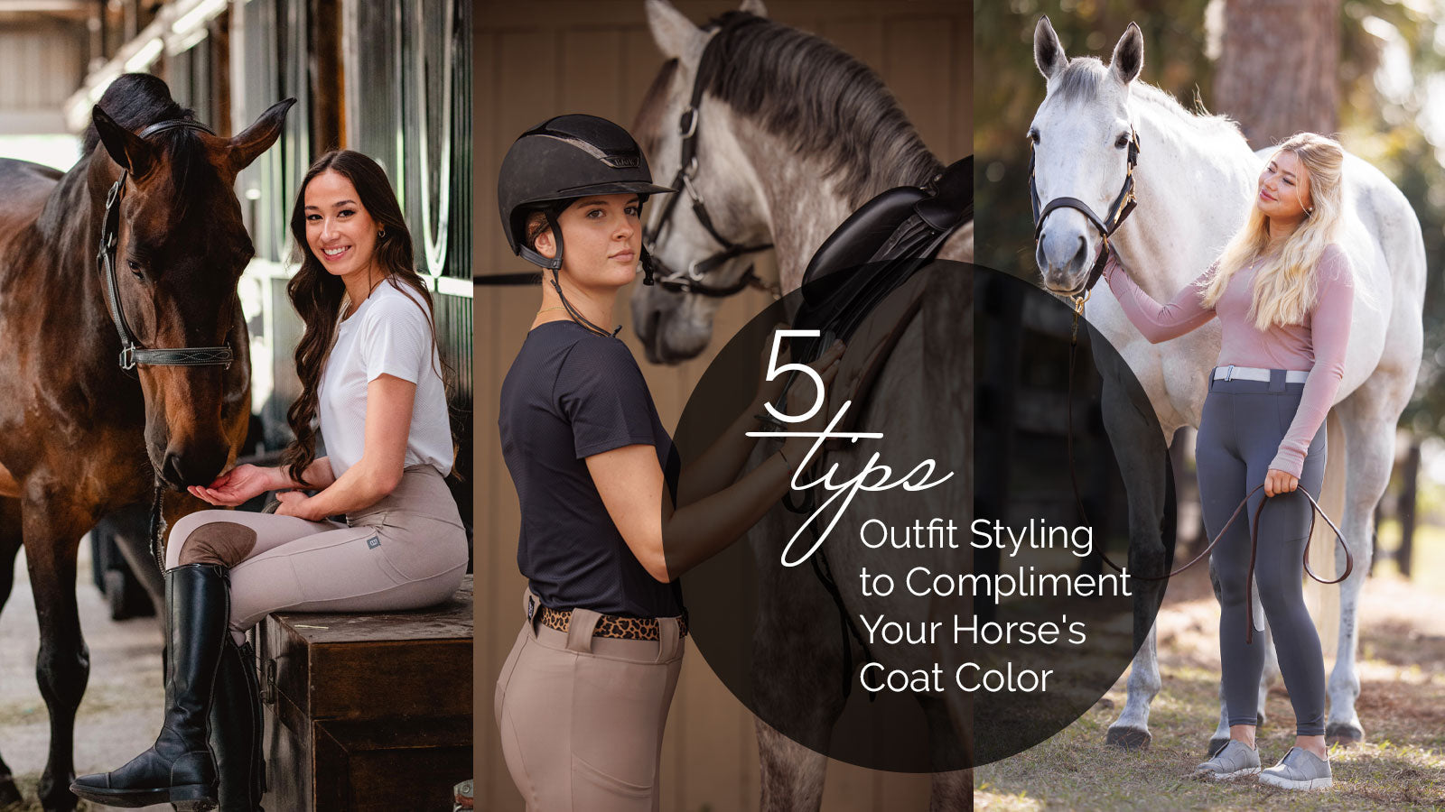 5 Styling Tips for Complimenting Your Horse's Coat Color